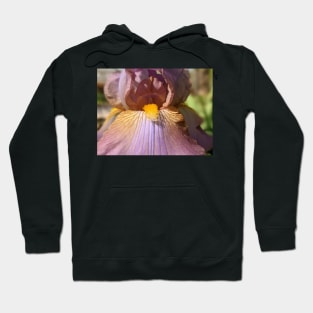 Lavender Iris 6 Hoodie